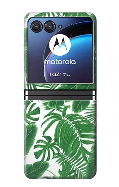 W3457 Paper Palm Monstera Funda Carcasa Case y Caso Del Tirón Funda para Motorola Razr 40 Ultra