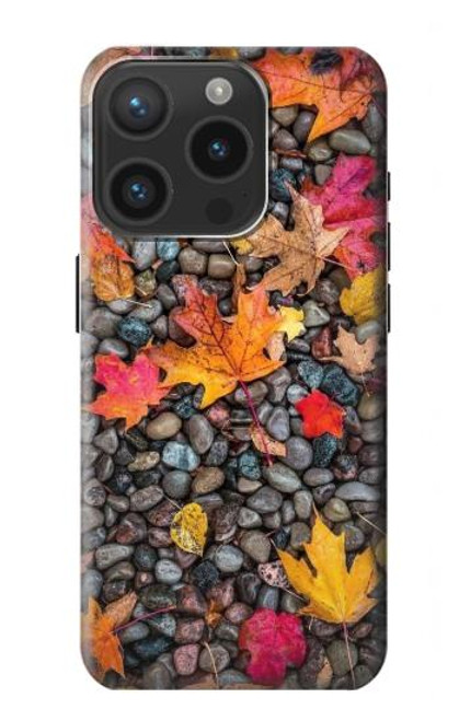 W3889 Maple Leaf Funda Carcasa Case y Caso Del Tirón Funda para iPhone 15 Pro