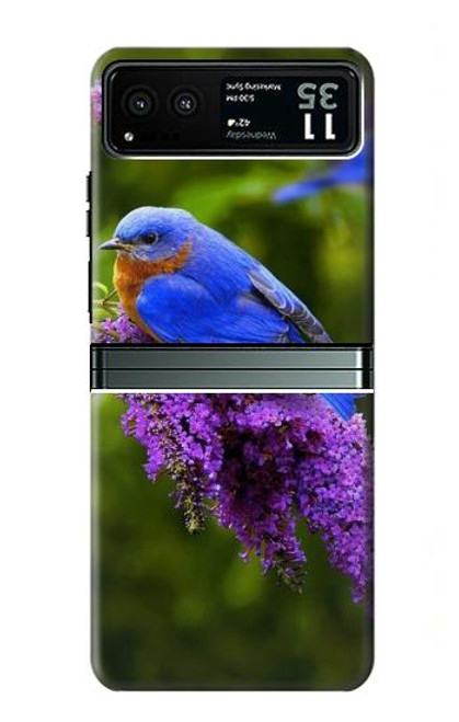 W1565 Bluebird of Happiness Blue Bird Funda Carcasa Case y Caso Del Tirón Funda para Motorola Razr 40