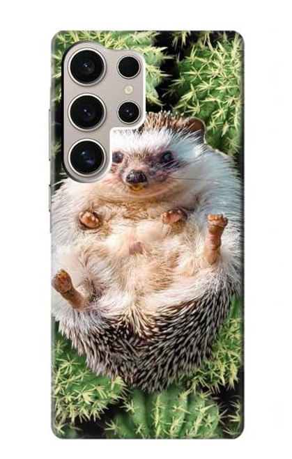 W3863 Pygmy Hedgehog Dwarf Hedgehog Paint Funda Carcasa Case y Caso Del Tirón Funda para Samsung Galaxy S24 Ultra