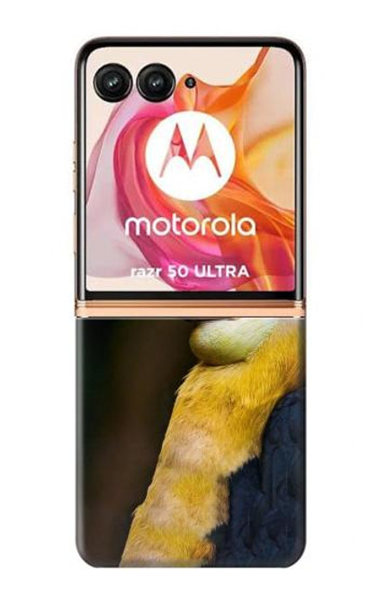 W3876 Colorful Hornbill Funda Carcasa Case y Caso Del Tirón Funda para Motorola Razr 50 Ultra