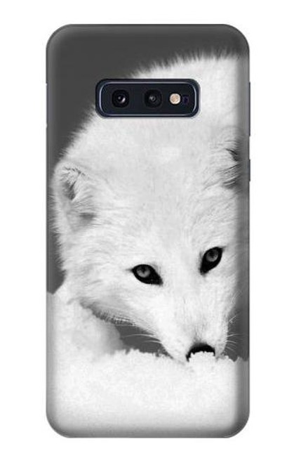 W2569 White Arctic Fox Funda Carcasa Case y Caso Del Tirón Funda para Samsung Galaxy S10e