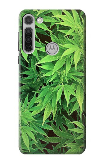 W1656 Marijuana Plant Funda Carcasa Case y Caso Del Tirón Funda para Motorola Moto G8