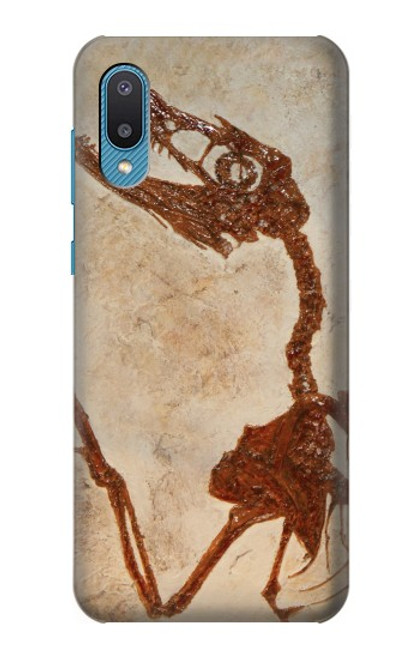 W0379 Dinosaur Fossil Funda Carcasa Case y Caso Del Tirón Funda para Samsung Galaxy A04, Galaxy A02, M02