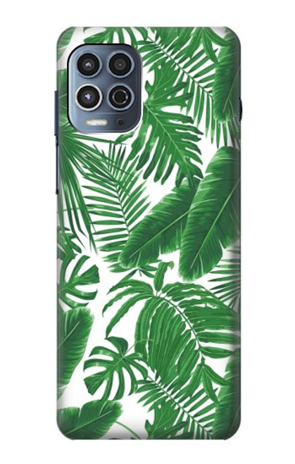 W3457 Paper Palm Monstera Funda Carcasa Case y Caso Del Tirón Funda para Motorola Moto G100