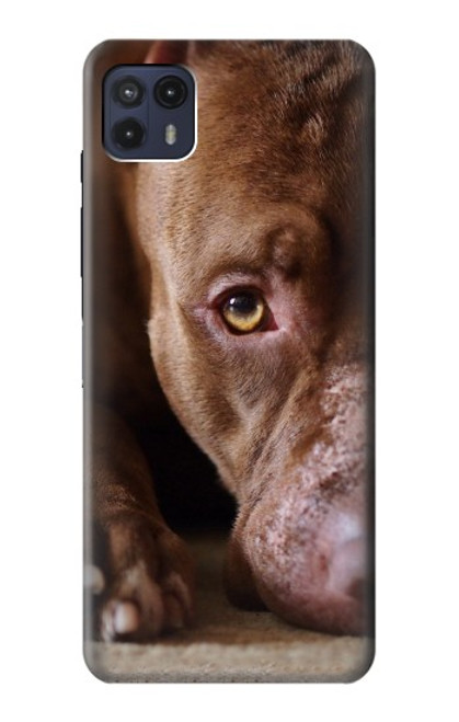 W0519 PitBull Face Funda Carcasa Case y Caso Del Tirón Funda para Motorola Moto G50 5G [for G50 5G only. NOT for G50]