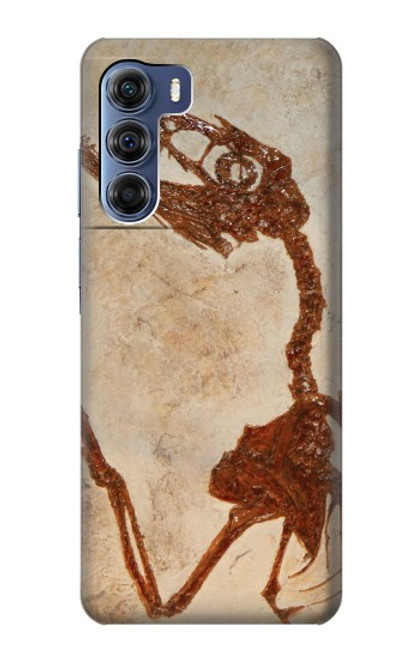 W0379 Dinosaur Fossil Funda Carcasa Case y Caso Del Tirón Funda para Motorola Edge S30