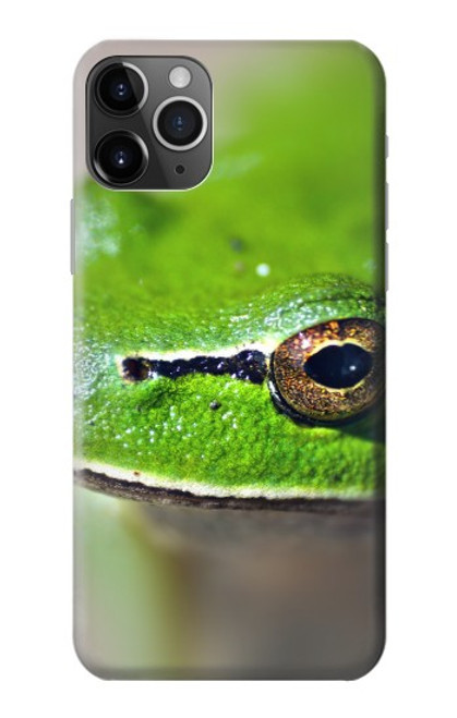 W3845 Green frog Funda Carcasa Case y Caso Del Tirón Funda para iPhone 11 Pro Max
