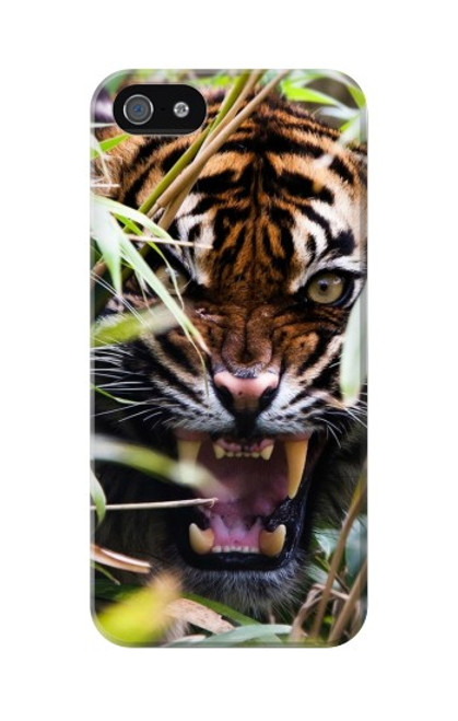 W3838 Barking Bengal Tiger Funda Carcasa Case y Caso Del Tirón Funda para iPhone 5 5S SE