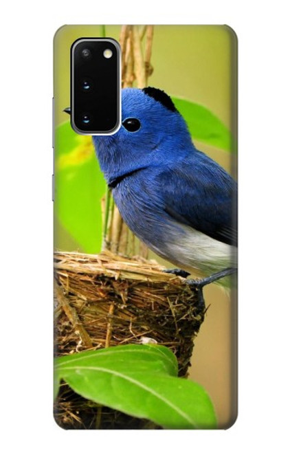 W3839 Bluebird of Happiness Blue Bird Funda Carcasa Case y Caso Del Tirón Funda para Samsung Galaxy S20