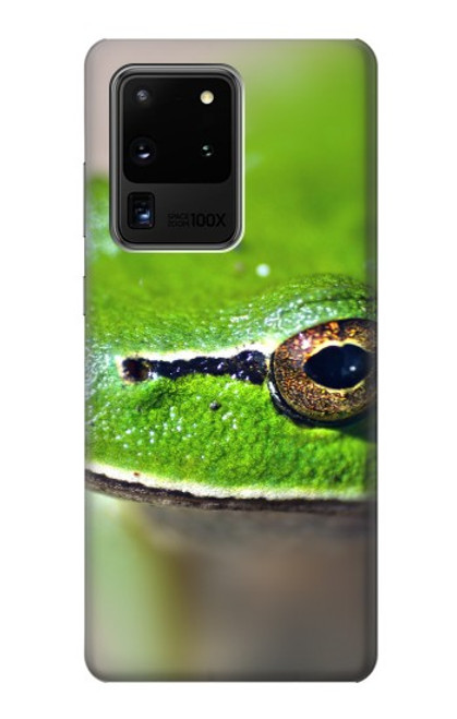 W3845 Green frog Funda Carcasa Case y Caso Del Tirón Funda para Samsung Galaxy S20 Ultra