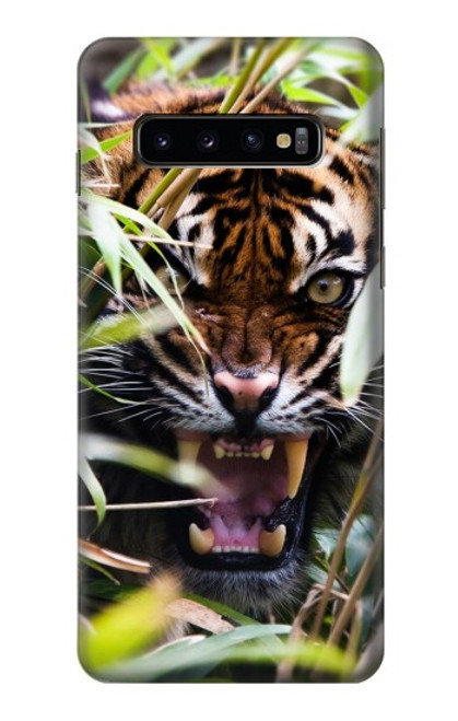 W3838 Barking Bengal Tiger Funda Carcasa Case y Caso Del Tirón Funda para Samsung Galaxy S10