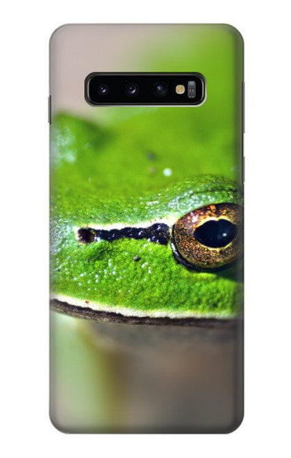 W3845 Green frog Funda Carcasa Case y Caso Del Tirón Funda para Samsung Galaxy S10