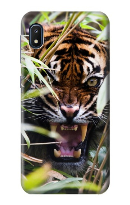 W3838 Barking Bengal Tiger Funda Carcasa Case y Caso Del Tirón Funda para Samsung Galaxy A10e