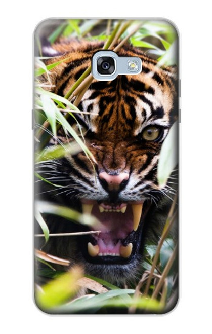 W3838 Barking Bengal Tiger Funda Carcasa Case y Caso Del Tirón Funda para Samsung Galaxy A5 (2017)