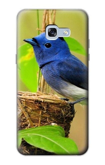 W3839 Bluebird of Happiness Blue Bird Funda Carcasa Case y Caso Del Tirón Funda para Samsung Galaxy A5 (2017)