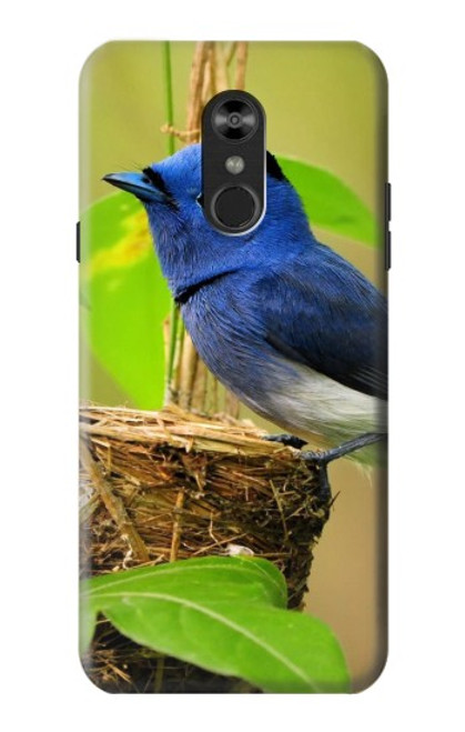 W3839 Bluebird of Happiness Blue Bird Funda Carcasa Case y Caso Del Tirón Funda para LG Q Stylo 4, LG Q Stylus