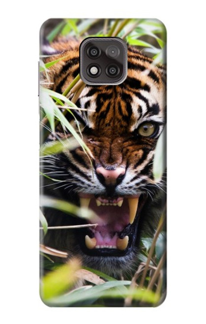 W3838 Barking Bengal Tiger Funda Carcasa Case y Caso Del Tirón Funda para Motorola Moto G Power (2021)