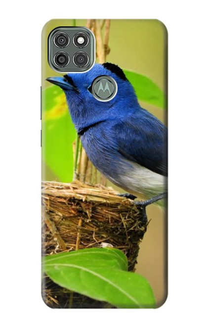 W3839 Bluebird of Happiness Blue Bird Funda Carcasa Case y Caso Del Tirón Funda para Motorola Moto G9 Power