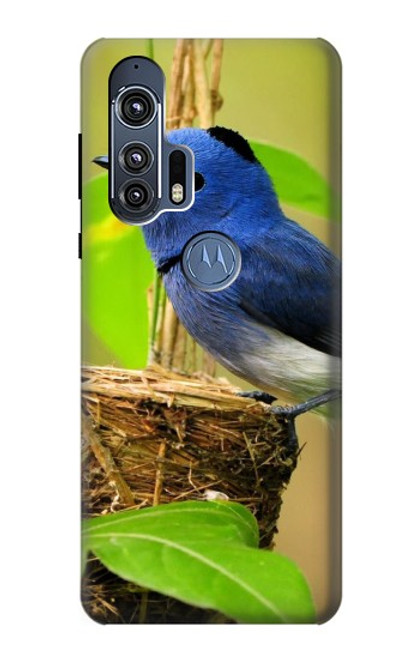 W3839 Bluebird of Happiness Blue Bird Funda Carcasa Case y Caso Del Tirón Funda para Motorola Edge+