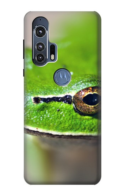 W3845 Green frog Funda Carcasa Case y Caso Del Tirón Funda para Motorola Edge+