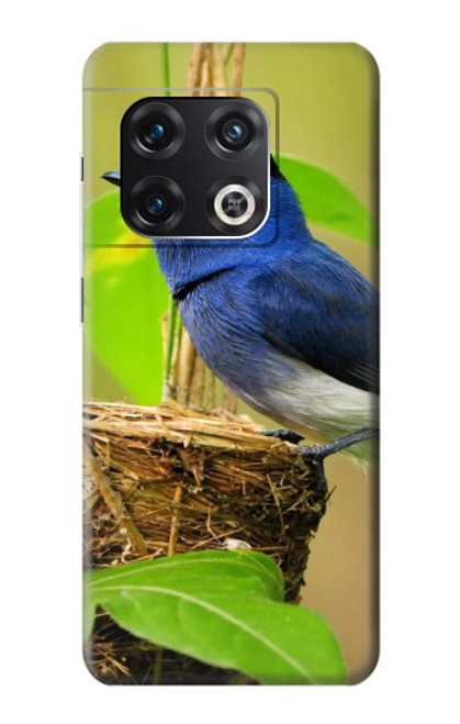 W3839 Bluebird of Happiness Blue Bird Funda Carcasa Case y Caso Del Tirón Funda para OnePlus 10 Pro