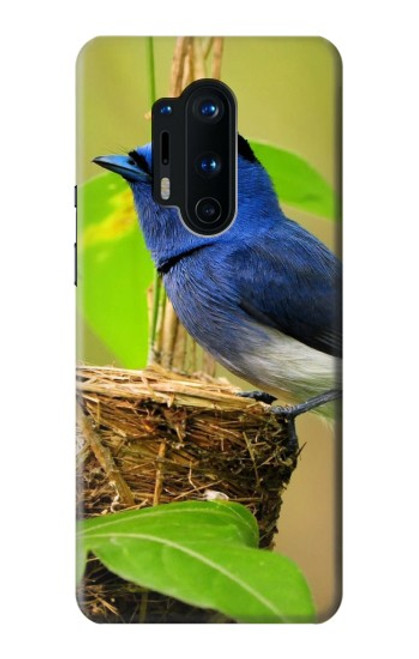 W3839 Bluebird of Happiness Blue Bird Funda Carcasa Case y Caso Del Tirón Funda para OnePlus 8 Pro