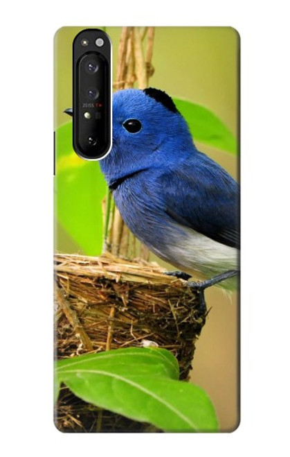 W3839 Bluebird of Happiness Blue Bird Funda Carcasa Case y Caso Del Tirón Funda para Sony Xperia 1 III