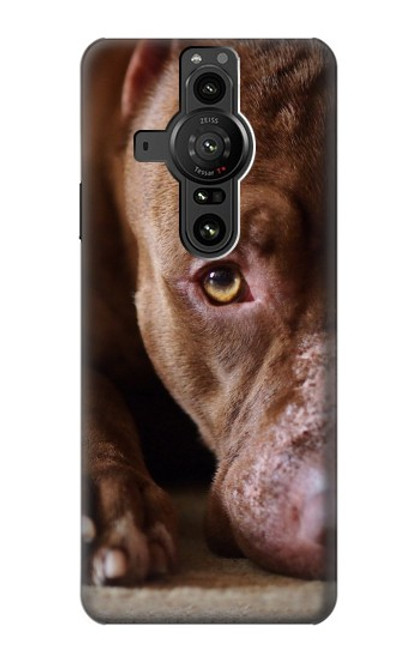 W0519 PitBull Face Funda Carcasa Case y Caso Del Tirón Funda para Sony Xperia Pro-I