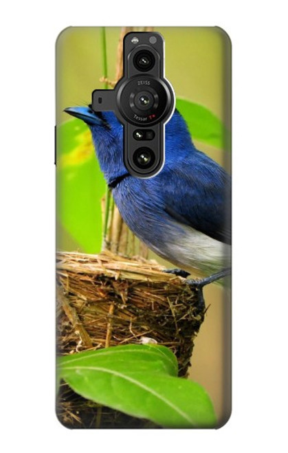 W3839 Bluebird of Happiness Blue Bird Funda Carcasa Case y Caso Del Tirón Funda para Sony Xperia Pro-I