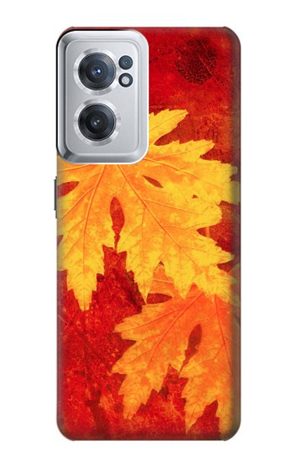 W0479 Maple Leaf Funda Carcasa Case y Caso Del Tirón Funda para OnePlus Nord CE 2 5G