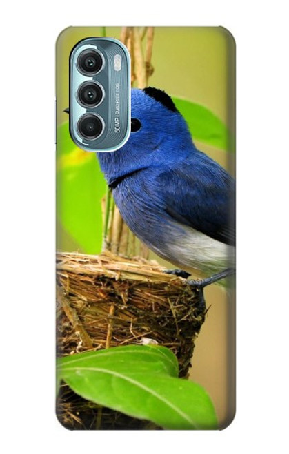 W3839 Bluebird of Happiness Blue Bird Funda Carcasa Case y Caso Del Tirón Funda para Motorola Moto G Stylus 5G (2022)