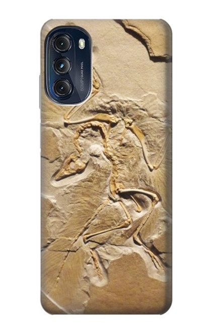 W0380 Dinosaur Fossil Funda Carcasa Case y Caso Del Tirón Funda para Motorola Moto G (2022)