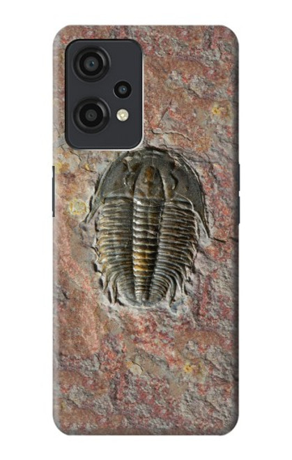 W1454 Trilobite Fossil Funda Carcasa Case y Caso Del Tirón Funda para OnePlus Nord CE 2 Lite 5G