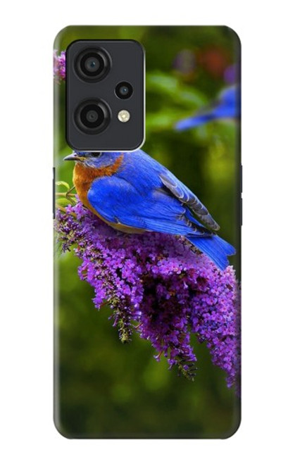 W1565 Bluebird of Happiness Blue Bird Funda Carcasa Case y Caso Del Tirón Funda para OnePlus Nord CE 2 Lite 5G