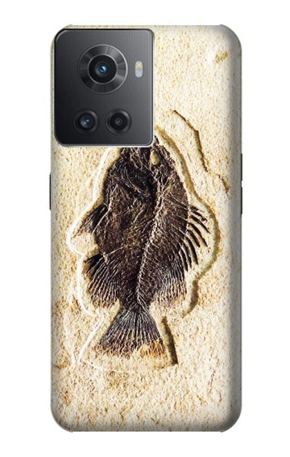 W2562 Fossil Fish Funda Carcasa Case y Caso Del Tirón Funda para OnePlus 10R