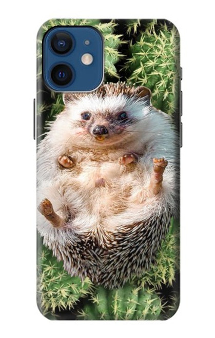 W3863 Pygmy Hedgehog Dwarf Hedgehog Paint Funda Carcasa Case y Caso Del Tirón Funda para iPhone 12 mini