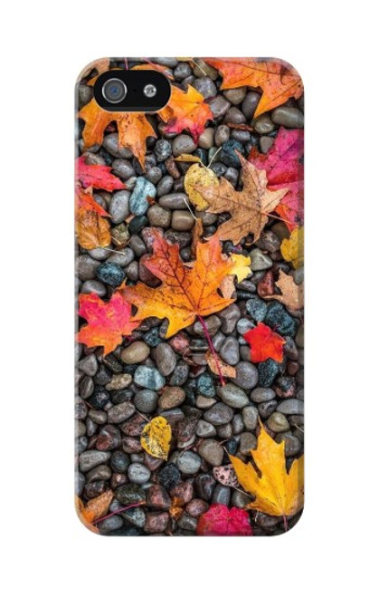 W3889 Maple Leaf Funda Carcasa Case y Caso Del Tirón Funda para iPhone 5 5S SE