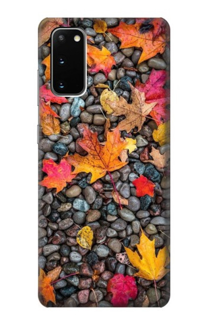 W3889 Maple Leaf Funda Carcasa Case y Caso Del Tirón Funda para Samsung Galaxy S20