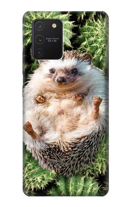 W3863 Pygmy Hedgehog Dwarf Hedgehog Paint Funda Carcasa Case y Caso Del Tirón Funda para Samsung Galaxy S10 Lite