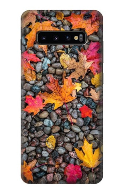 W3889 Maple Leaf Funda Carcasa Case y Caso Del Tirón Funda para Samsung Galaxy S10 Plus