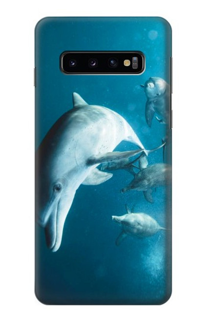 W3878 Dolphin Funda Carcasa Case y Caso Del Tirón Funda para Samsung Galaxy S10