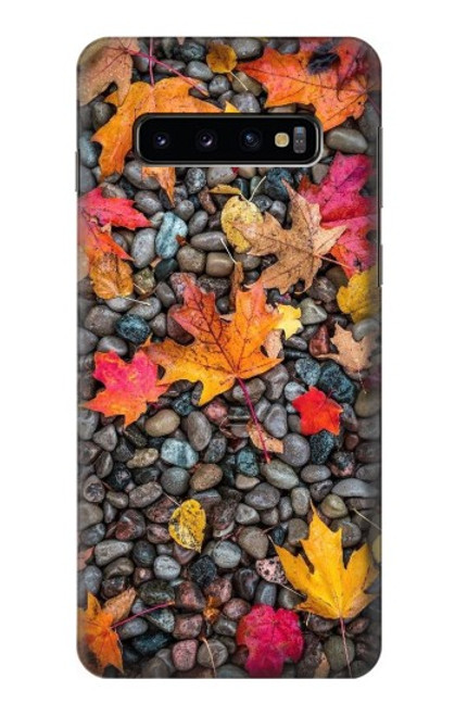 W3889 Maple Leaf Funda Carcasa Case y Caso Del Tirón Funda para Samsung Galaxy S10