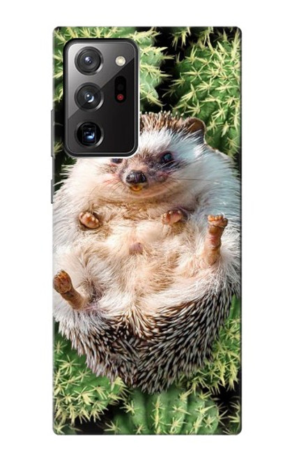 W3863 Pygmy Hedgehog Dwarf Hedgehog Paint Funda Carcasa Case y Caso Del Tirón Funda para Samsung Galaxy Note 20 Ultra, Ultra 5G