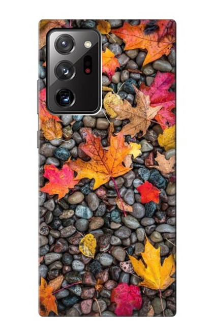 W3889 Maple Leaf Funda Carcasa Case y Caso Del Tirón Funda para Samsung Galaxy Note 20 Ultra, Ultra 5G