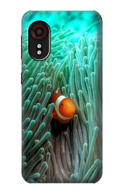 W3893 Ocellaris clownfish Funda Carcasa Case y Caso Del Tirón Funda para Samsung Galaxy Xcover 5