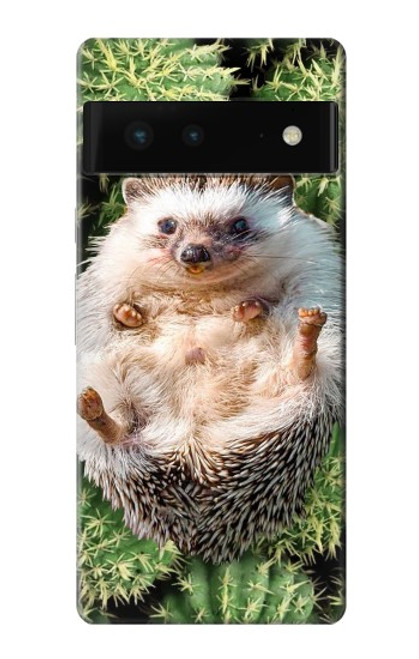 W3863 Pygmy Hedgehog Dwarf Hedgehog Paint Funda Carcasa Case y Caso Del Tirón Funda para Google Pixel 6