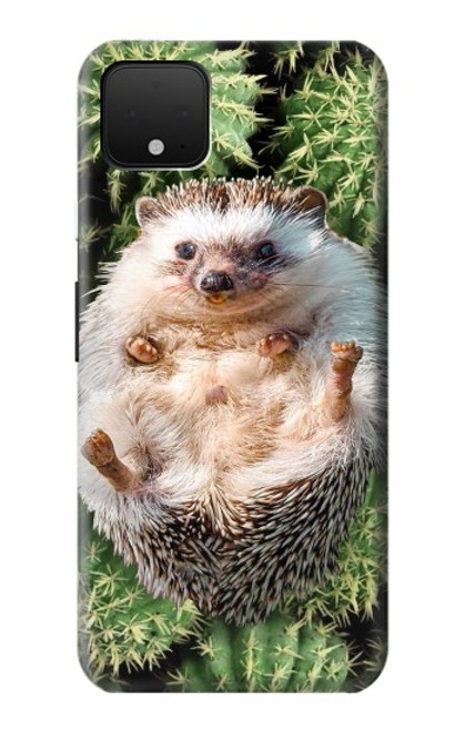 W3863 Pygmy Hedgehog Dwarf Hedgehog Paint Funda Carcasa Case y Caso Del Tirón Funda para Google Pixel 4