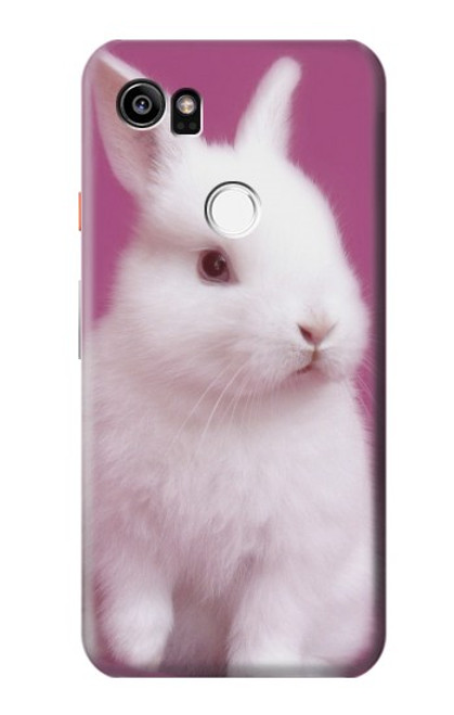 W3870 Cute Baby Bunny Funda Carcasa Case y Caso Del Tirón Funda para Google Pixel 2 XL