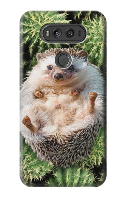 W3863 Pygmy Hedgehog Dwarf Hedgehog Paint Funda Carcasa Case y Caso Del Tirón Funda para LG V20